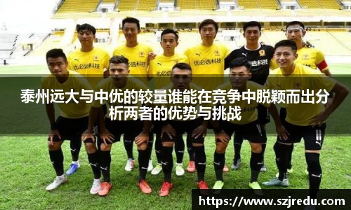 泰州远大与中优的较量谁能在竞争中脱颖而出分析两者的优势与挑战